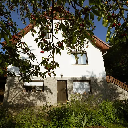 Haus Corinna Kurort Berggiesshuebel * Bad Gottleuba