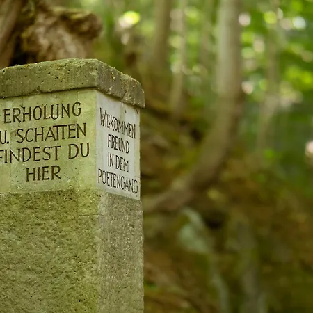 Daire Haus Corinna Kurort Berggiesshuebel
